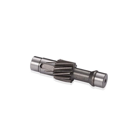 Motor shaft